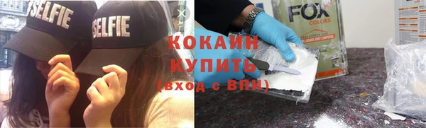 прущие грибы Армянск