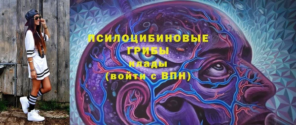 прущие грибы Армянск