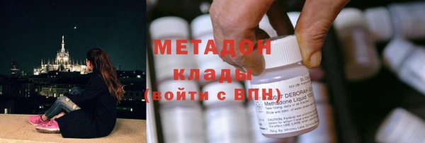 прущие грибы Армянск