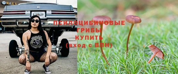 мескалин Аркадак