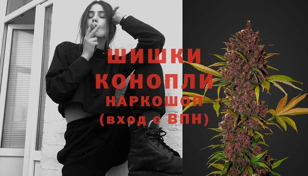 прущие грибы Армянск