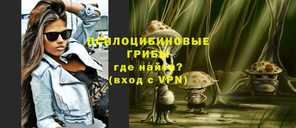 прущие грибы Армянск
