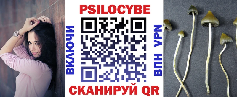 kraken как зайти  Хилок  Псилоцибиновые грибы Psilocybe 